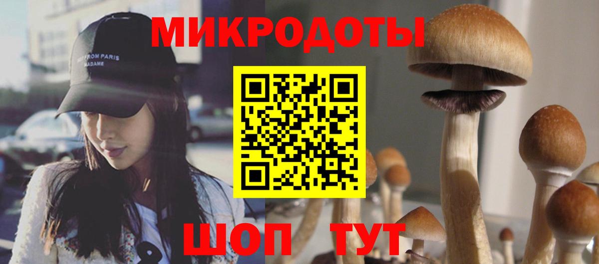 Псилоцибиновые грибы прущие грибы Ханты-Мансийск